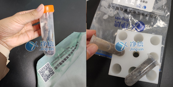 1641537154144337.jpg 8.jpg