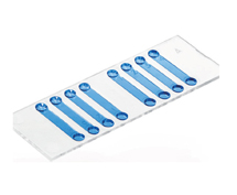 （ibidi）細(xì)胞計數(shù)載玻片80816